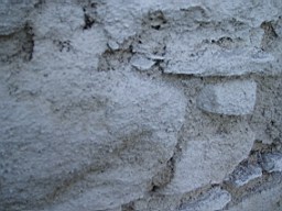christchurch -1424.jpg